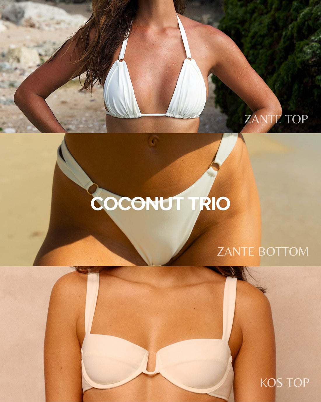 Coconut TRIO